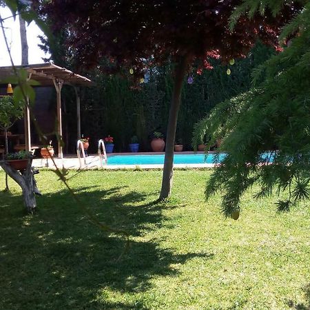 Bay Leaves Apartment Jaén Екстериор снимка