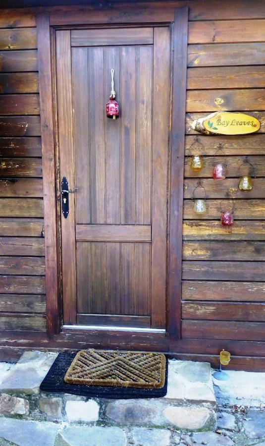 Bay Leaves Apartment Jaén Екстериор снимка
